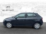 Skoda Fabia Active +Allwetter+Klima+ - Skoda Fabia: Active