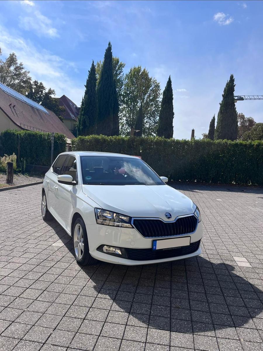 Skoda Fabia mit Sitzheizung und Apple CarPlay 