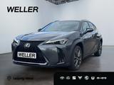 Lexus UX 300h F SPORT Design *Navi*LED*CarPlay*CAM*TWA - Lexus Gebrauchtwagen in Leipzig