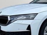 Skoda Octavia Combi 2.0 TDI DSG Selection +ACC+AHK+NAV - Skoda mit Diesel-Antrieb