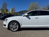 Audi A3 Sportback 2.0 TDI Ambition quattro - Audi A3: 3.0