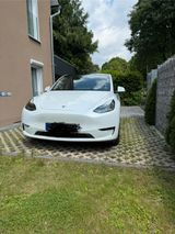 Tesla Model Y Performance - 8-fach bereift - Tesla Model Y aus 2024