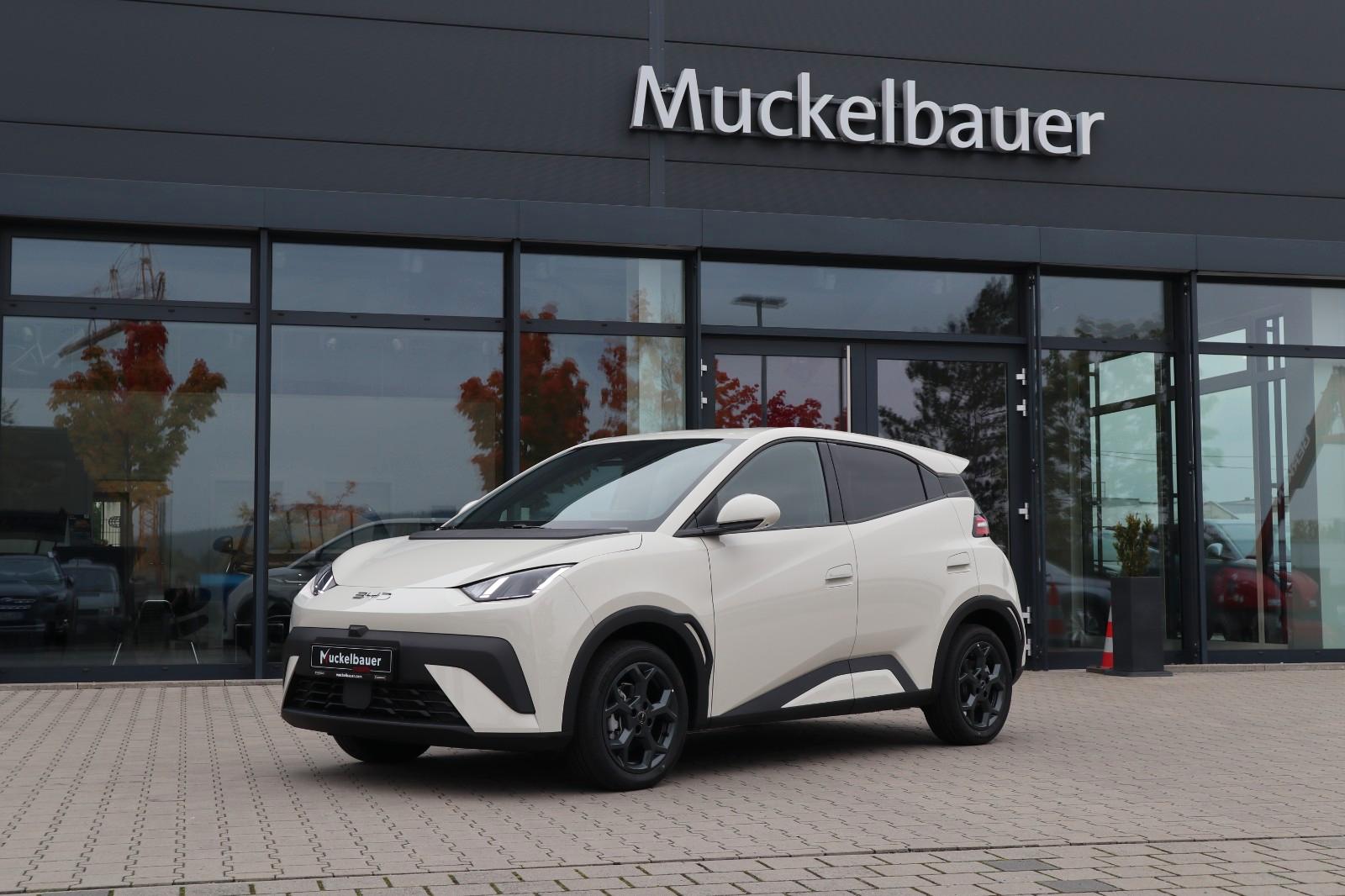 BYD DOLPHIN SURF Comfort 43kWh *Bestellfahrzeug*