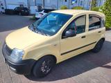 Fiat Panda - Fiat Panda Gebrauchtwagen in Solingen