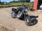Suzuki VX800 - Offers matching your search criteria