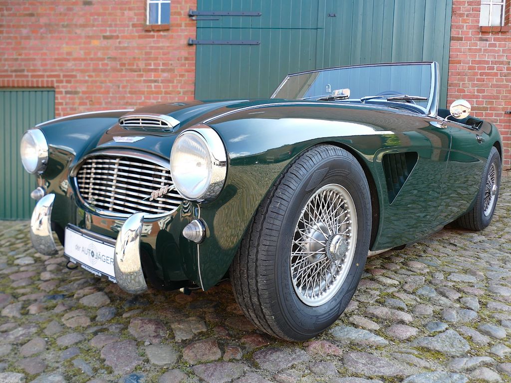 Austin Healey Andere