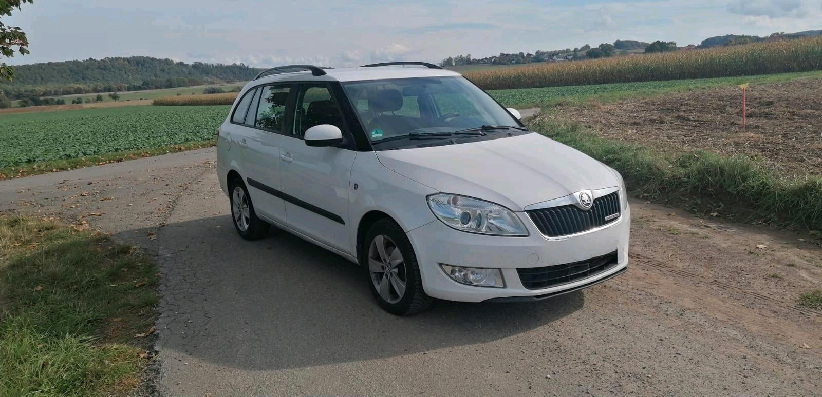 Skoda Fabia 2013 — photo 8