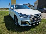 Audi Q2 30 TFSI sport  - Audi Q2 von privat