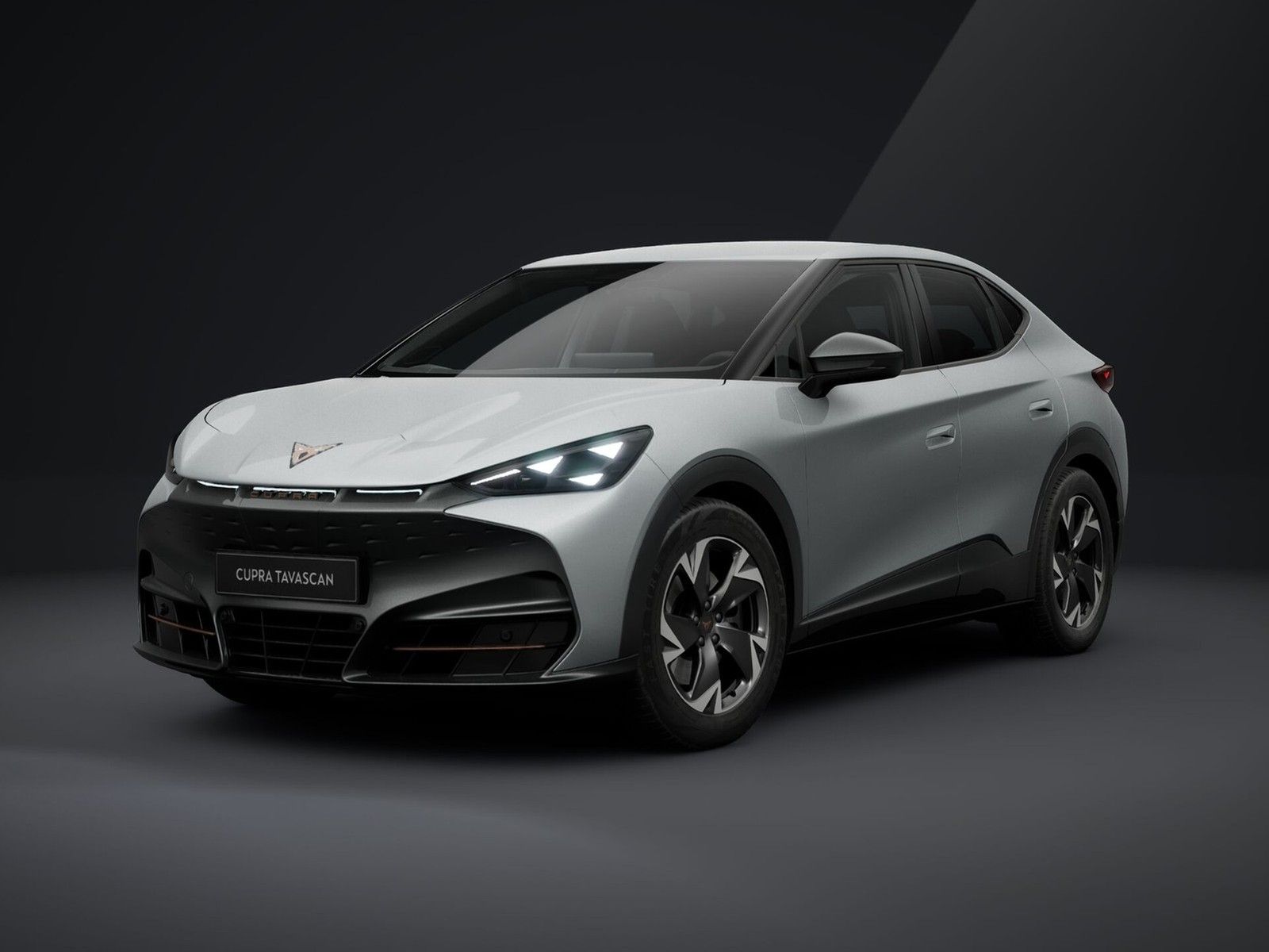 Cupra Tavascan 210 kW Endurance  LED Kamera PDC LM Tem imagem 3