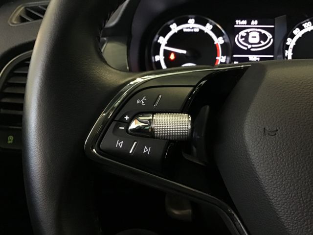 Fahrzeugabbildung Skoda Fabia Best of 1.0 TSI Combi Ambition/Navi/SHZ