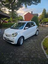 Smart ForFour Automatik alle Extras - Smart: mit Anhängerkupplung