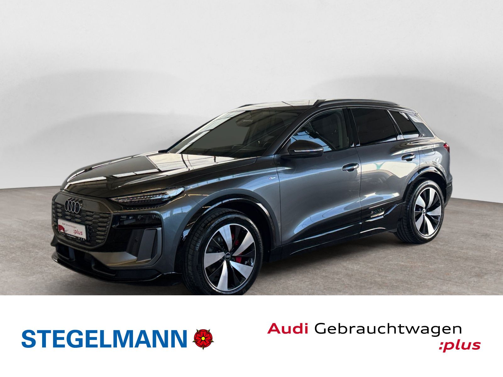 AUDI Q6 e-tron S-Line*B&amp;O*Matrix*AHK