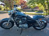 Harley-Davidson Sportster 1200 XL Custom - HARLEY-DAVIDSON SPORTSTER 1200 C