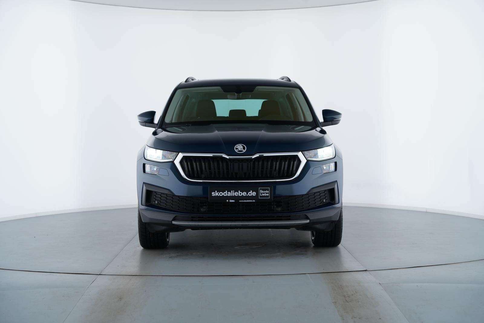 Skoda Kodiaq - Bild 2