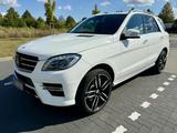 Mercedes-Benz Mercedes Benz ML 500 w166 408 PS 22Zoll Lo... - Mercedes-Benz ML 500