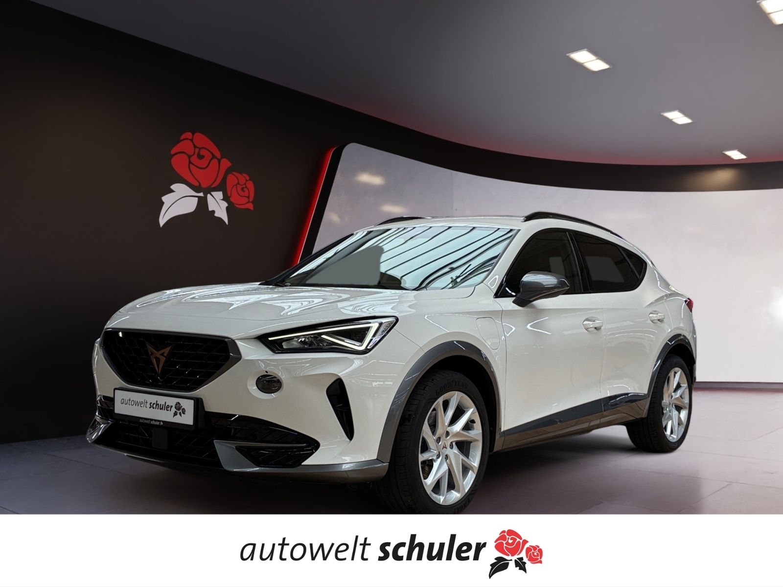 Cupra Formentor — Cupra Formentor 1.4 e-Hybrid AHK LED Navi