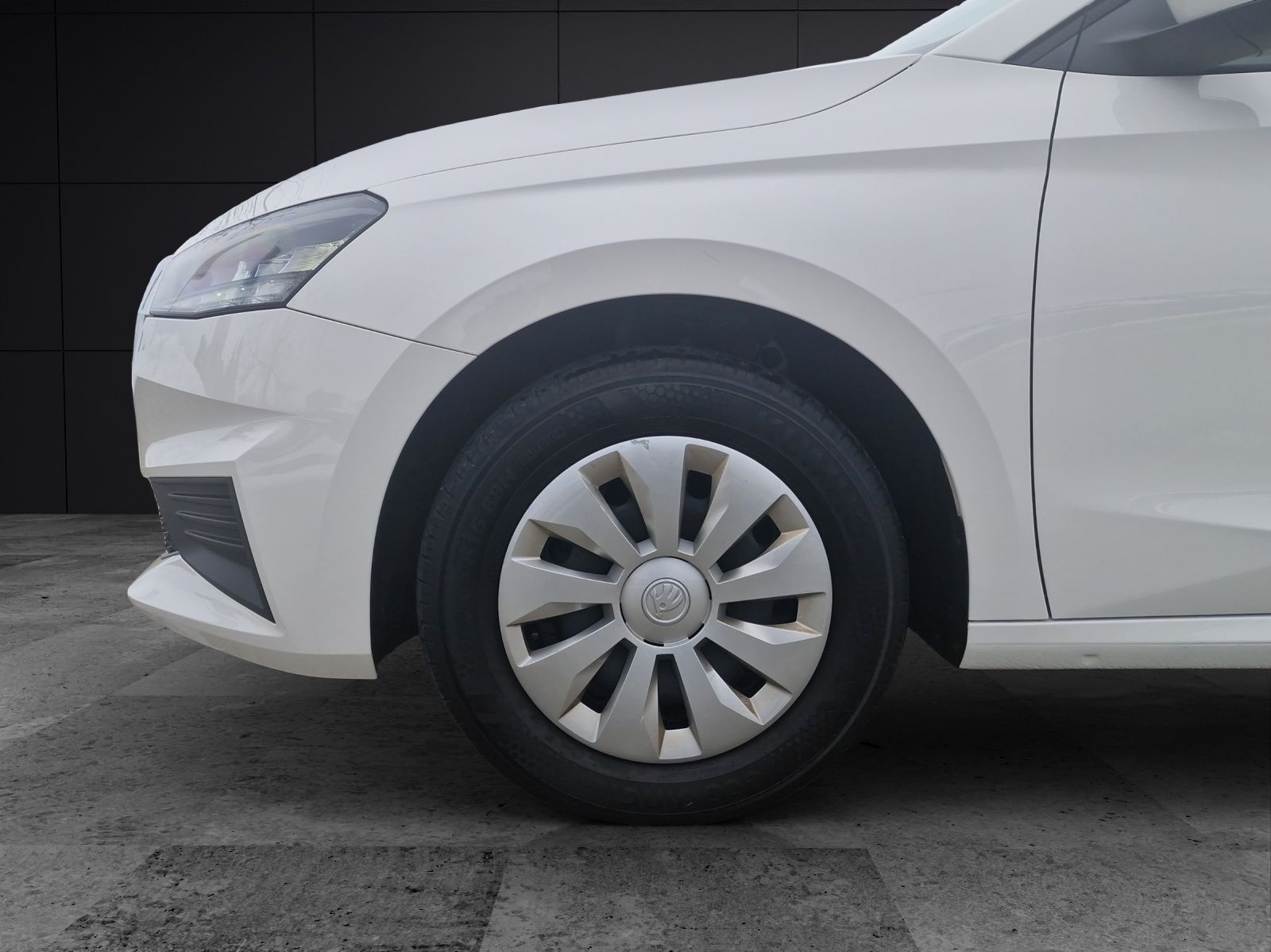 Fahrzeugabbildung SKODA Fabia Active 1.0 MPI DAB SH KLIMA