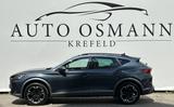 Cupra Formentor 2.0 TDI / SPURH. ASSIST / ACC / DAB - Cupra mit Diesel-Antrieb