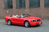 Ford Mustang Cabrio GT 4.6 V8 / 305 PS - U... - gebrauchte Ford Mustang aus dem Jahr 2005