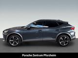 Cupra Formentor 4Drive Leder Panorama DCC Parklenkass - Cupra Formentor mit Diesel-Antrieb: Grau