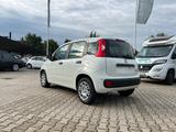 Fiat Panda Pandina 1.0 Icon *5 Sitzer Klimaanlage* - Fiat Panda Neuwagen mit Benzin-Antrieb