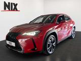 Lexus UX 250 h 2.0 Hybrid Style Edition KAMERA - Lexus in Frankfurt (Main)