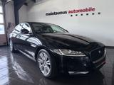 Jaguar XF 30d Portfolio Automatik *1.HAND|KAMERA|PANO* - Jaguar XF: 30d