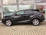Lexus NX 300h E-FOUR Luxury Line - Lexus NX Luxury-Line