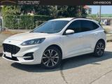Ford Kuga ST Line 2.0 EcoBlue mHEV #6516 - Ford Kuga: Limousine