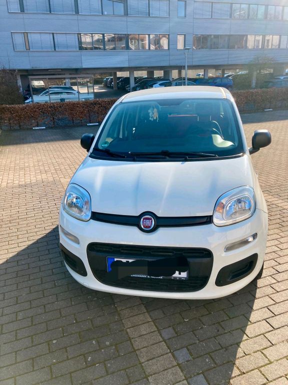 Image of Fiat Panda