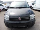 Fiat Panda 1.2 8V Dynamic Klima - gebrauchte Fiat Panda aus dem Jahr 2011