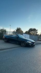 BMW M4 F83 Cabrio Wheelforce ohne OPF M Dr... - BMW M4 in Braunschweig