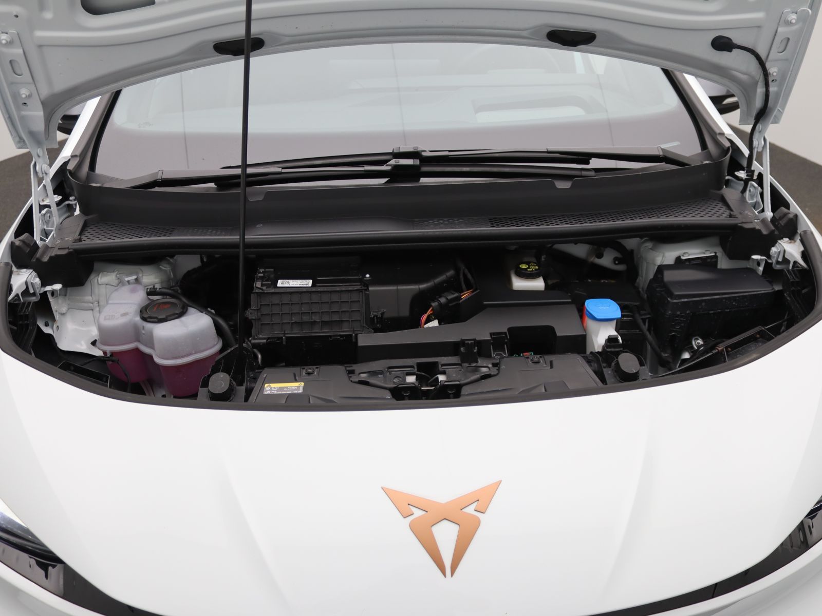 Cupra Born - Bild 18