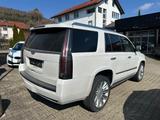 Cadillac Escalade 6.2 V8 Platinum Autom. Platinum - Cadillac Escalade Gebrauchtwagen