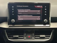 SEAT Tarraco Xcellence 4Drive /7Sitzer/360 Kamera/AHK