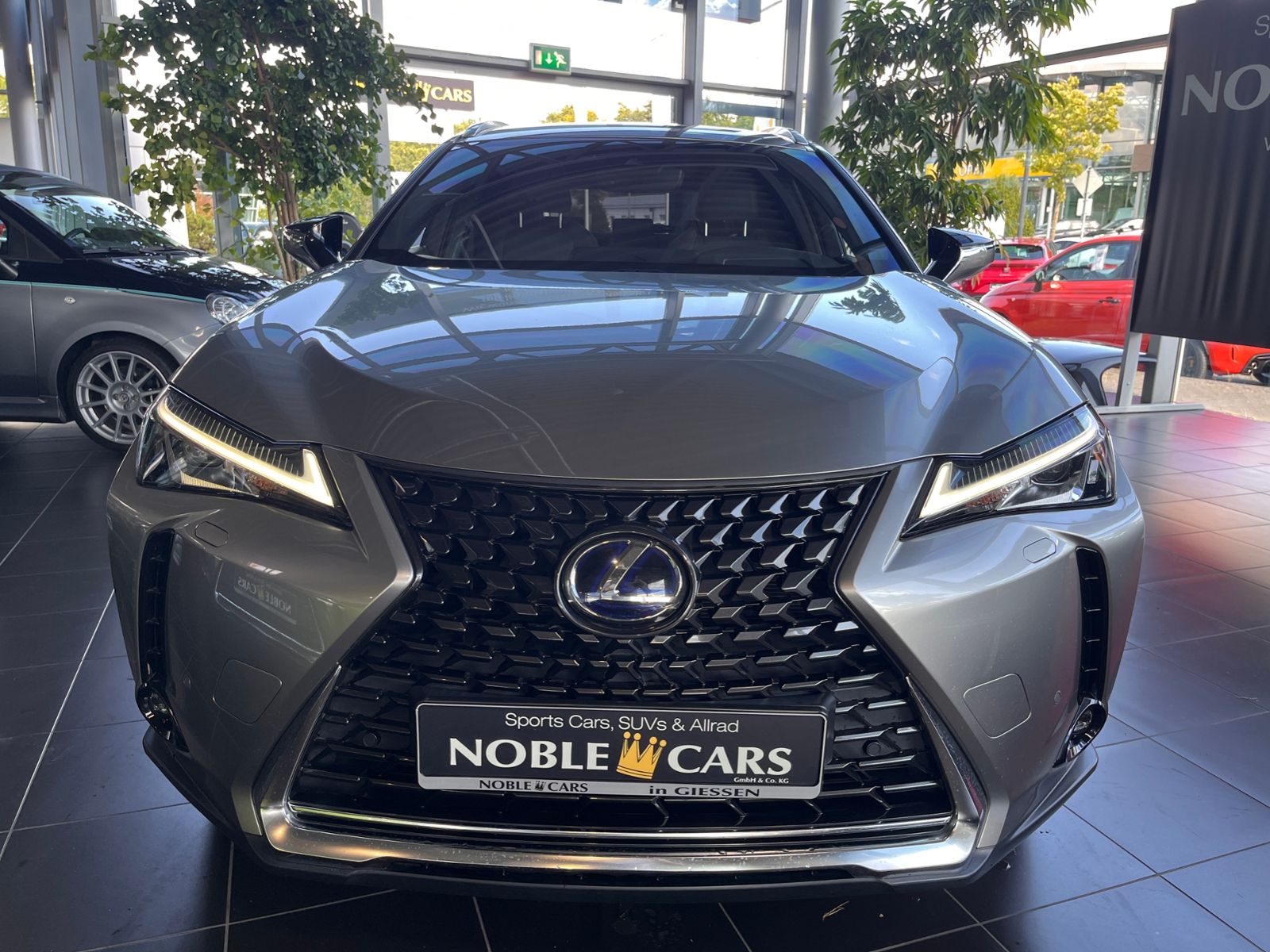 Fahrzeugabbildung Lexus UX 250h Launch Edition LED AHK NAV RFK SHZ ALU