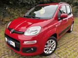 Fiat Panda 1.2 Lounge*Klima*2-Hd*Zahnriemen Neu*Euro6 - Fiat Panda: Eu