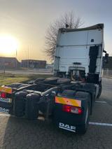 DAF Xf 105.460 FTG - DAF Xf 105