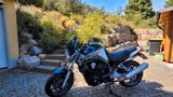 Yamaha BT 1100, Bulldog - Angebote