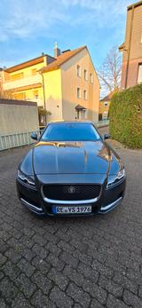 Jaguar XF 30D S 300PS Automatik S - Jaguar XF: Allradantrieb