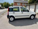 Fiat Panda Klima  Neuer TÜV  Neue Reifen... - Fiat Panda Gebrauchtwagen in Wuppertal