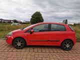 Fiat Punto Mylife - Fiat Punto in Freiburg