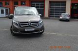 Mercedes-Benz V 250 AVANTG./EDITION 4 MaBurmei.360Kamera Leder - Mercedes-Benz V 220 in Dresden