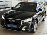 Audi Q2 30 TFSI sport Leder Navi LED PDC Scheckheft - Audi Q2 Gebrauchtwagen in Hannover