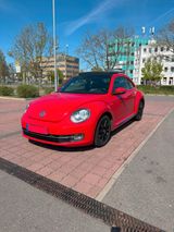 Volkswagen Beetle mit Panoramadach - Volkswagen Käfer: Limousine