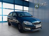 Skoda Fabia Combi Greenline KLIMA SHZ CD TEMPOMAT - Skoda: Greenline