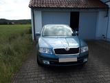 Skoda Octavia 1.6 Ambiente Ambiente - Skoda Octavia: Grün