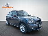 MINI COOPER_S Countryman Park Lane Chili All4 - MINI MINI: Park Lane