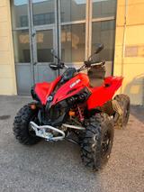 Can-Am Can Am Renegade 500 - CAN-AM RENEGADE