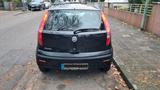 Fiat Punto - Fiat Punto Gebrauchtwagen in Mannheim